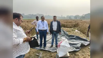 निदेशक ने धान की कटनी कराकर पैदावार का लिया जायजा