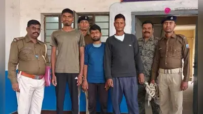 BOKARO NEWS : गांजा तस्करी में तीन को मिली 15-15 साल का सश्रम कारावास