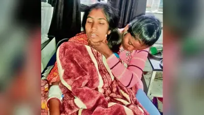 हाथी ने जंगल में महिला को मार डाला, दो घायल