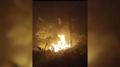 ट्रांसफार्मर से तेल की चोरी करने के दौरान लगी आग, विद्युत आपूर्ति ठप