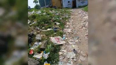 नारायणपुर बाजार में पसरी गंदगी, स्वच्छता की अनदेखी से बिगड़ती स्थिति