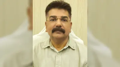 शहर में छुट्टा घूमने वाले आवारा कुत्तों पर अब निगम कसेगा शिकंजा