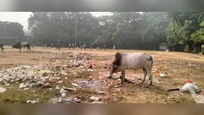 एग्रिको मैदान की गंदगी नहीं हुई साफ, लोगों में आक्रोश