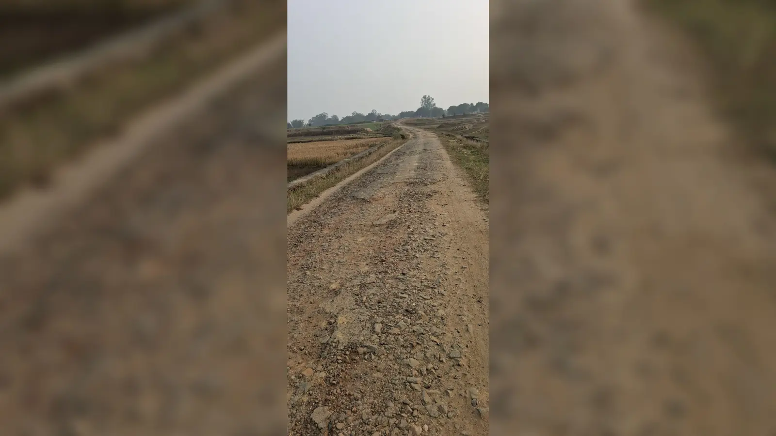 Giridih News :10 वर्षों से नहीं हुई रानीडीह-गांडो सड़क की मरम्मत