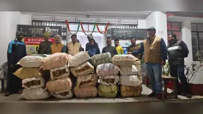 ट्रक से 20 बाेरियां गांजा बरामद, चालक गिरफ्तार