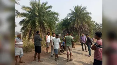 East Singhbhum : मानुषमुड़िया-दशिणाशोल सड़क निर्माण ग्रामीणों ने रोका, घटिया काम का आरोप