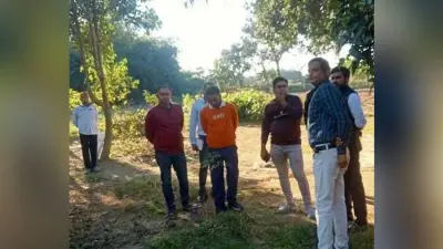 एसडीएम ने खेरिया में बागवानी का लिया जायजा