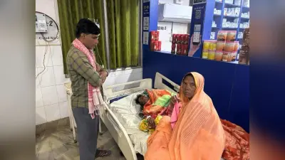 सर्पदंश के शिकार दो लोगों का सदर अस्पताल में हुआ उपचार