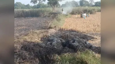 गन्ना के खेत में लगी आग से लाखों रुपये का गन्ने का फसल जलकर राख