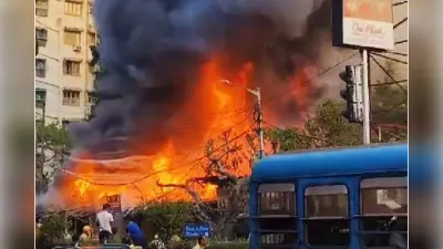 Kolkata Fire : दक्षिण कोलकाता के बाजार में लगी भयावह आग, मौके पर पहुंची 16 दमकल की गाड़ियां