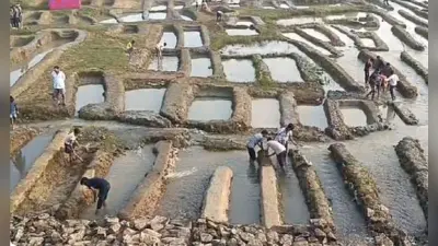 Bhagalpur: कहलगांव के पास गंगा में फंसा है फेरी जहाज, देर रात रेस्क्यू कर बाहर लाये गये यात्री