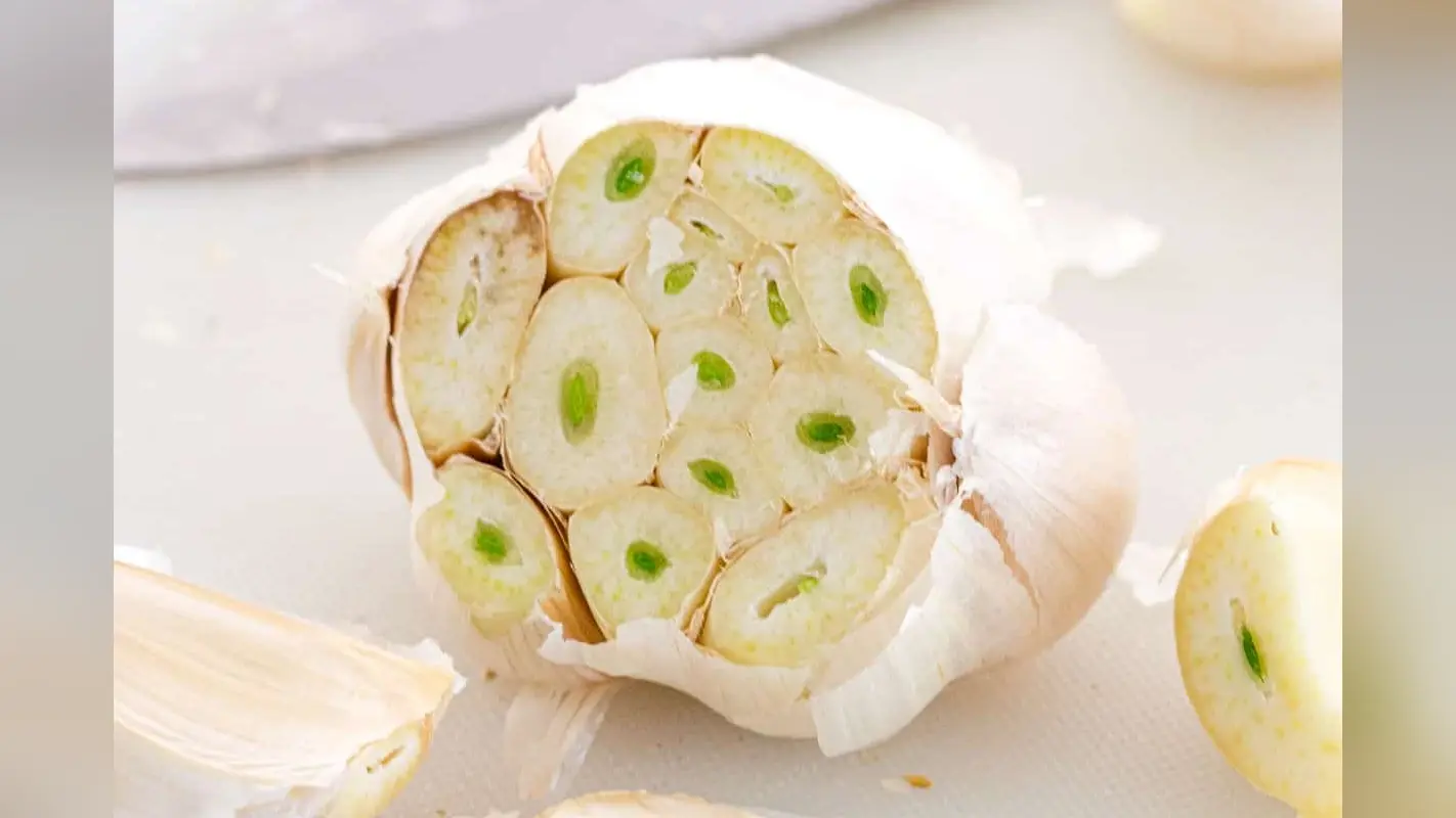 Is Your Garlic Green Inside: क्या लहसुन के अंदर हरापन है? क्या लहसुन के अंकुरित हिस्से खाना सुरक्षित है?
