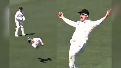 ENG vs NZ: लगाई शेर जैसी छलांग और धर दबोची गेंद, न्यूजीलैंड के फिलिप्स का उड़ता हुआ कैच, देखें वीडियो