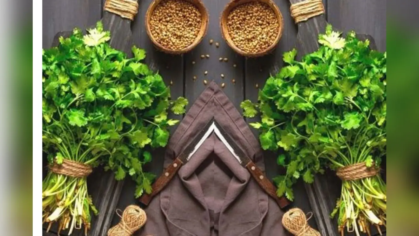 Tips to keep coriander fresh in kitchen: किचन के अंदर भी हरा-भरा रहेगा धनिया का पौधा, बस फॉलो करें ये टिप्स