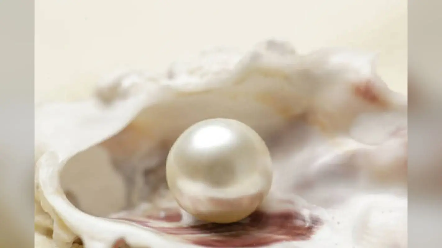 Pearl: कैसे करें असली और नकली मोती की पहचान, ये है आसान तरीका