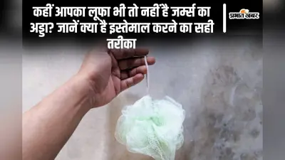 कहीं आपका लूफा भी तो नहीं है जर्म्स का अड्डा? जानें क्या है इस्तेमाल करने का सही तरीका