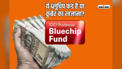 ये ब्लूचिप फंड है या कुबेर का खजाना? सिर्फ 12,000 से बन गए एक करोड़ रुपये