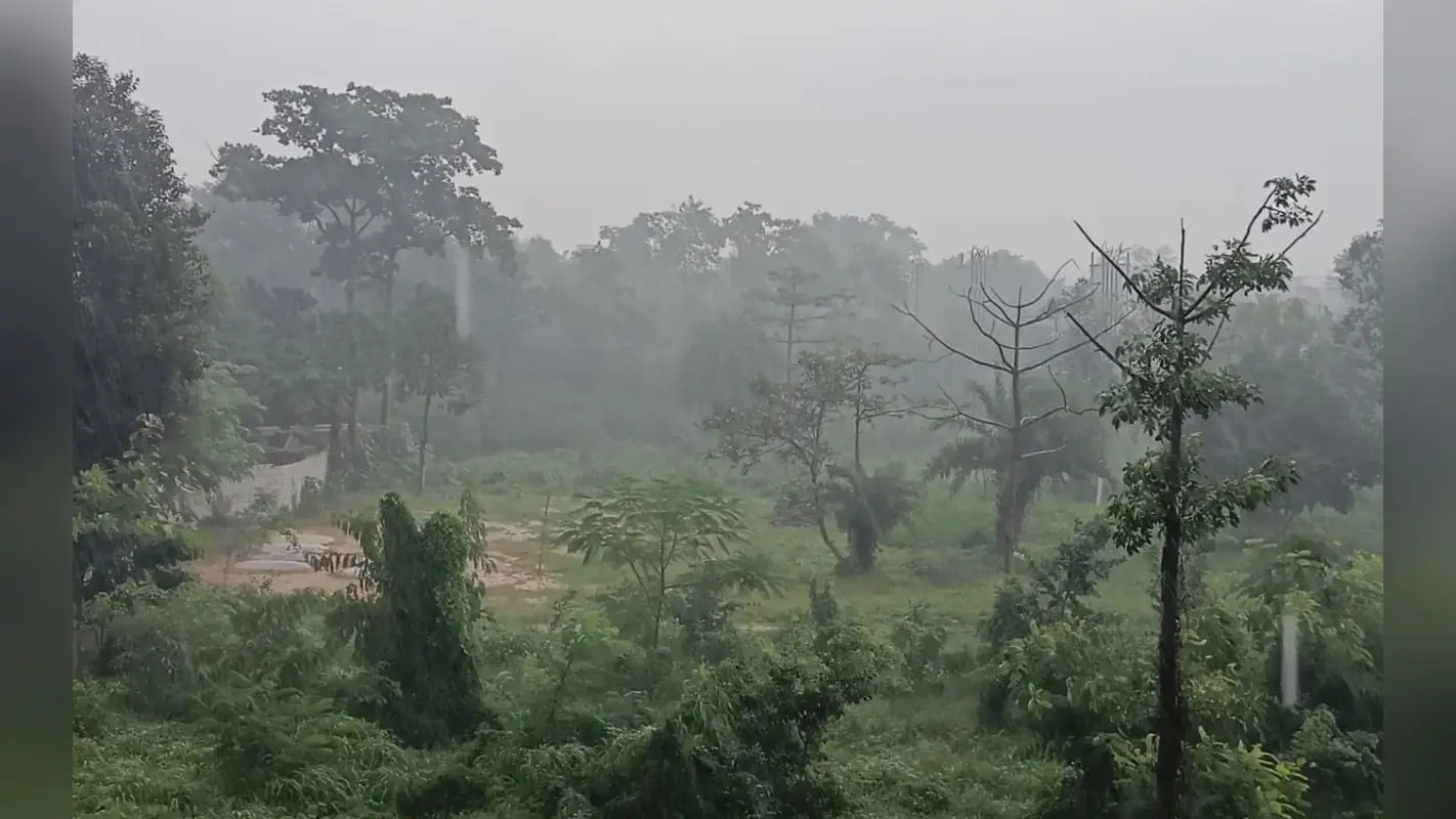 Ranchi Weather: सर्द हवाओं ने बढ़ायी कनकनी, दिन भर हो रहा ठंड का अहसास