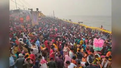 Tulsi Vivah 2024: कब मनाया जा रहा है तुलसी विवाह, जानें सही तारीख, मुहूर्त और पूजा विधि