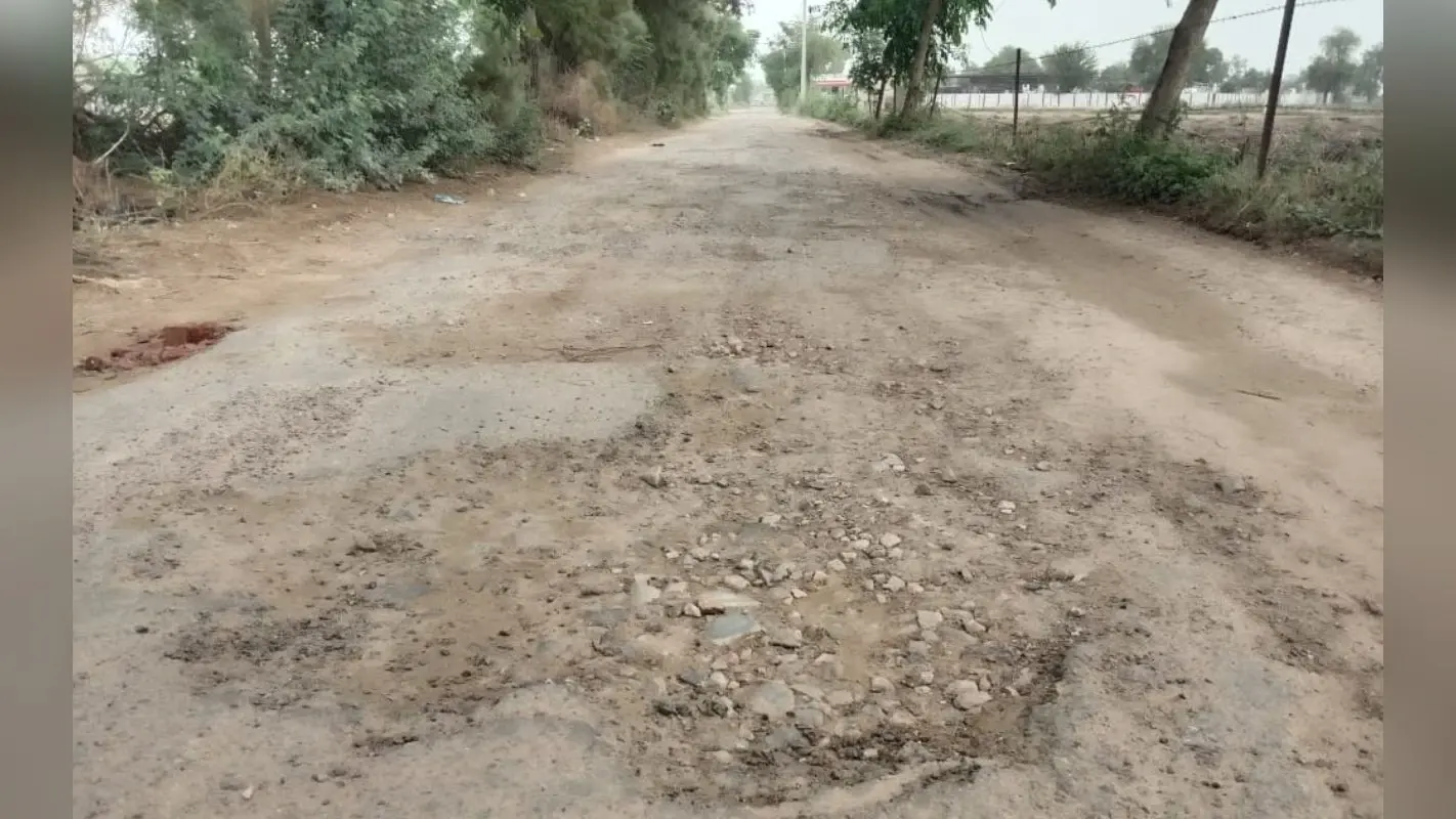 Bhagalpur: सड़कों की रैंकिंग में भागलपुर पथ निर्माण विभाग फिसड्डी, टॉप पर जमुई