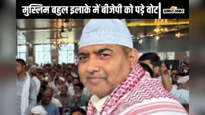 UP By-Election Result 2024 : 62 फीसदी मुस्लिम आबादी वाले कुंदरकी में कैसे जीती बीजेपी ? जानें
