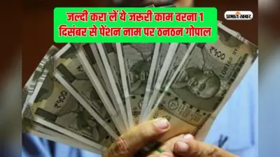 30 नवंबर तक निपटा लें जरूरी काम, वरना 1 दिसंबर से रुक जाएगी पेंशन
