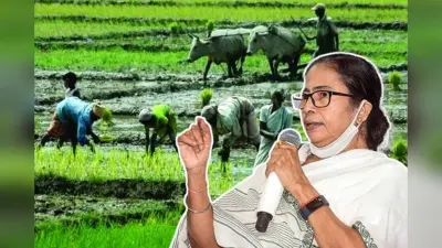Mamata Banerjee Gift : ममता बनर्जी की घोषणा, 1 करोड़ 7 लाख किसानों के खातों में सीधे पहुंचेगा पैसा