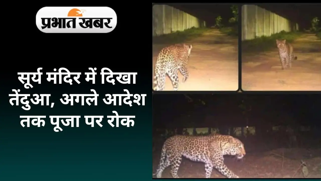 Bihar: बिहटा में तेंदुआ का खौफ, स्कूल भी हुए बंद, एयरपोर्ट परिसर में इस शर्त पर मनेगी छठ…