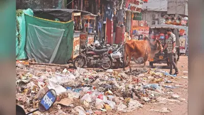 Muzaffarpur News: सड़कों पर पसरा है 200 टन कचरा, दुर्गंध में रहने को मजबूर शहरवासी