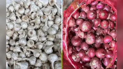 Vegetable Price: लहसुन की कीमतों में लगी आग, महंगाई की मार से लोग परेशान, जानें भाव
