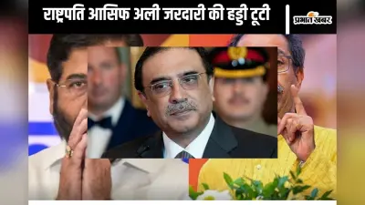 Pakistan News : विमान से उतर रहे थे राष्ट्रपति आसिफ अली जरदारी, टूट गई हड्डी