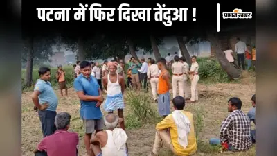 पटना में फिर दिखा तेंदुआ, खौफ के साये में ग्रामीण, सूर्य मंदिर के पास छठ पूजा पर भी संशय!