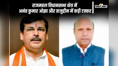 Rajmahal Vidhan Sabha Result 2024: बीजेपी के अनंत कुमार ओझा पिछड़े जेएमएम के ताजुद्दीन आगे