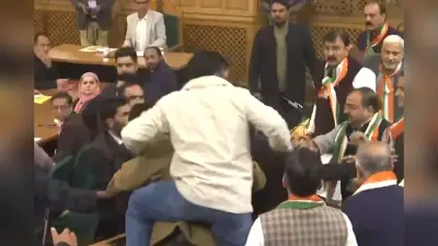 Video: आर्टिकल 370 मुद्दे पर जम्मू-कश्मीर विधानसभा में भारी बवाल, हाथापाई और धक्का-मुक्की का देखें वीडियो