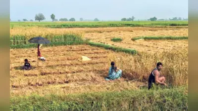 Bihar के हजारों किसानों को तीन साल तक नहीं मिलेगा सरकारी लाभ, जानें क्यों लिया गया फैसला