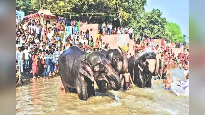 Sonepur Mela: सोनपुर मेले में इस बार क्या है खास? जानिए मनोरंजन से लेकर सांस्कृतिक कार्यक्रमों तक क्या हैं तैयारियां