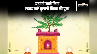 Tulsi Vivah 2024 Shubh Muhurat: तुलसी विवाह का शुभ मुहूर्त आज शाम से शुरु, जानें कब करें पूजा
