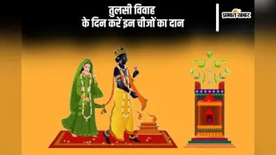 Tulsi Vivah 2024 Daan: तुलसी विवाह के दिन करें इन चीजों का दान, विशेष लाभ होगा प्राप्त