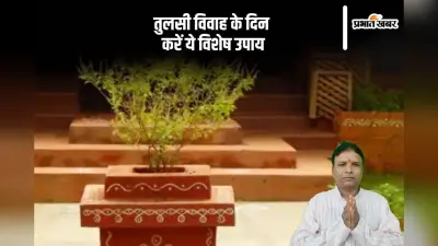 Tulsi Vivah 2024 Vastu Upay: तुलसी विवाह के दिन करें ये विशेष उपाय, वास्तु दोष होंगे दूर