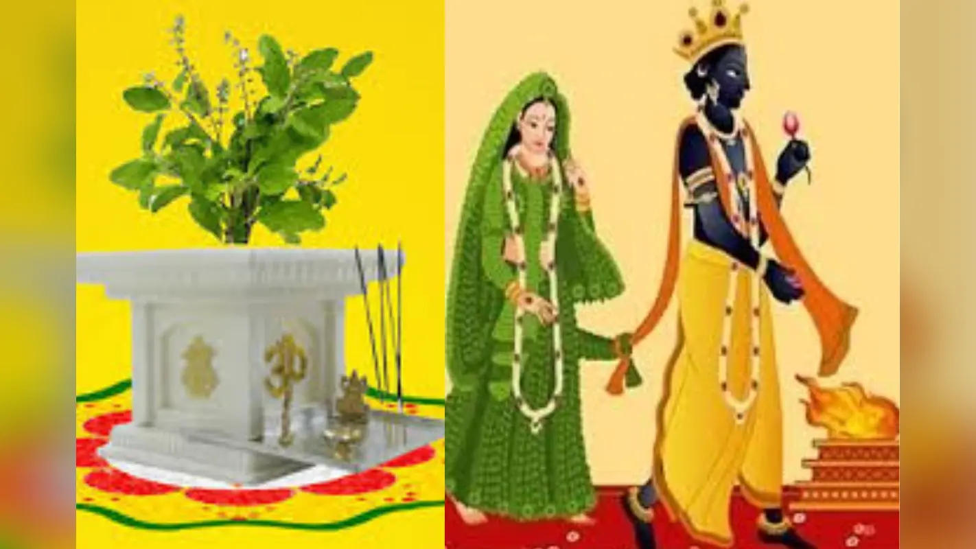 Tulsi Vivah Puja: तुलसी विवाह के अवसर पर कर ले ये छोटे उपाय, इन चीजों को अर्पित करने से सारी परेशानियां हो जाएगी दूर