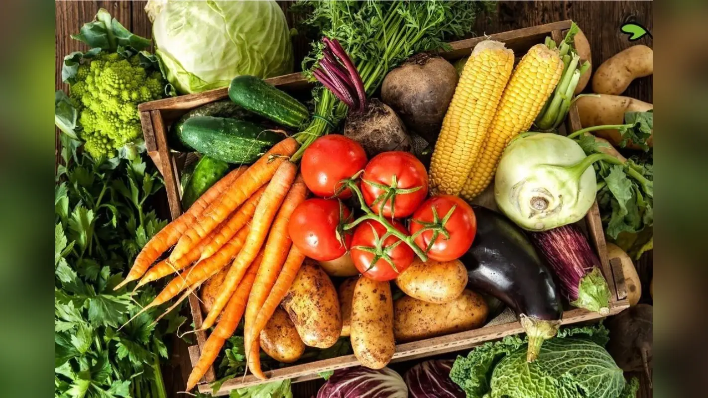 Winter Vegetables To Stay Healthy: सर्दी में अगर आप भी रहना चाहते हैं बीमारियों से दूर तो जरूर खाएं ये 5 सब्जियां