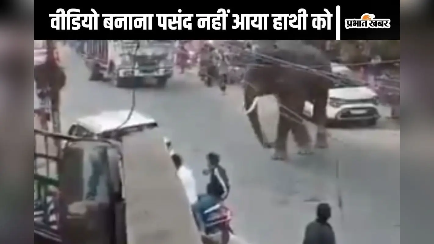 Viral Video : मोबाइल से वीडियो बनाना पसंद नहीं आया जंगली हाथी को, लड़के की ओर लपका