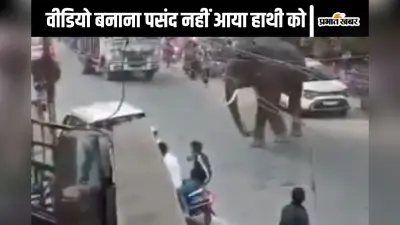 Viral Video : मोबाइल से वीडियो बनाना पसंद नहीं आया जंगली हाथी को, लड़के की ओर लपका