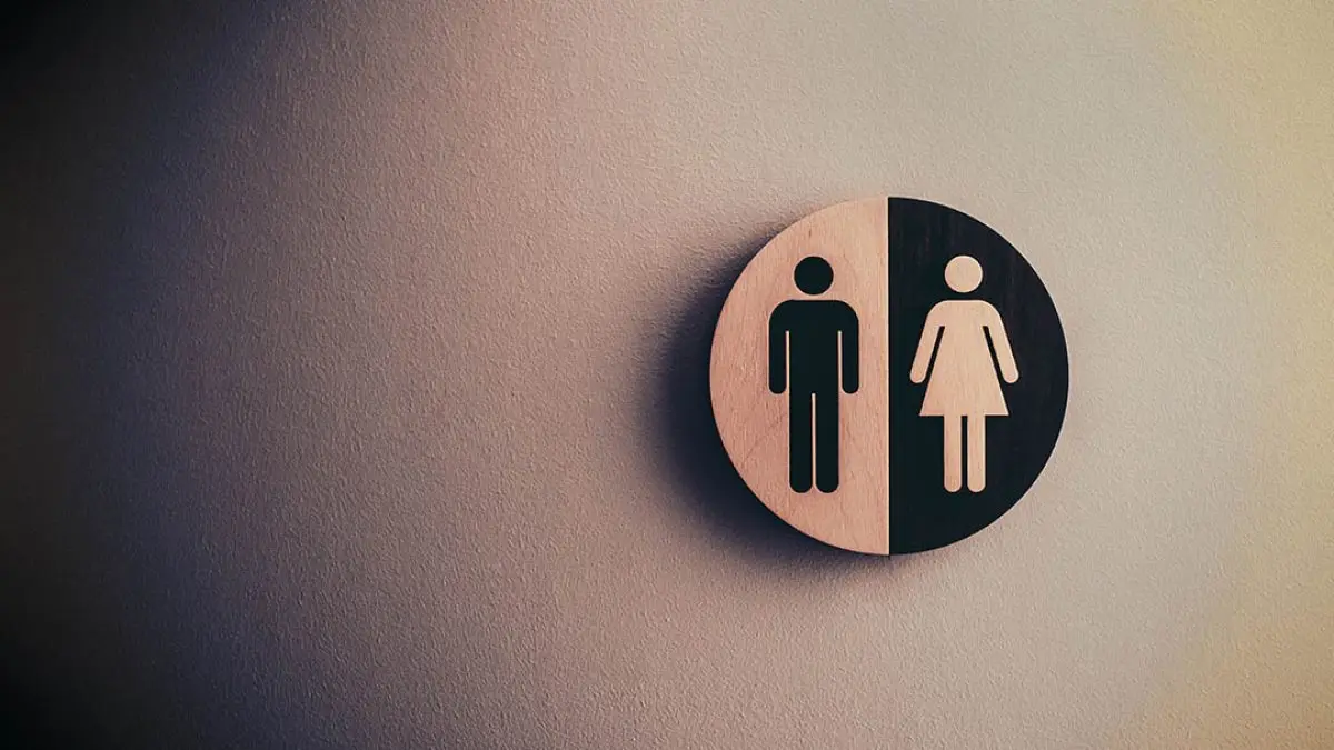 World Toilet Day 2024: 19 नवंबर को क्यों मनाया जाता है वर्ल्ड टॉयलेट डे? जानें इस दिन से जुड़े सवालों के जबाब