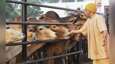 Yogi Adityanath Threat : सीएम योगी को जान से मारने की धमकी देने वाली फातिमा खान गिरफ्तार