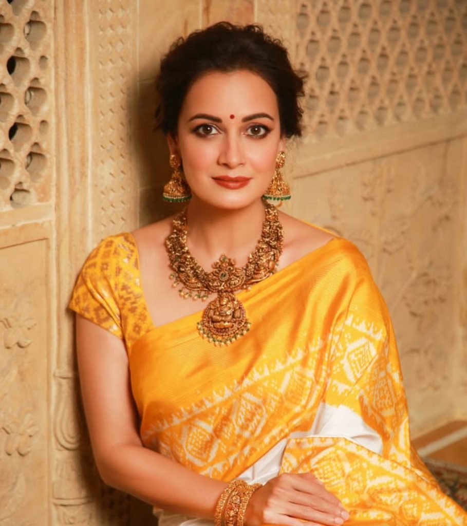 Dia Mirza Birthday
