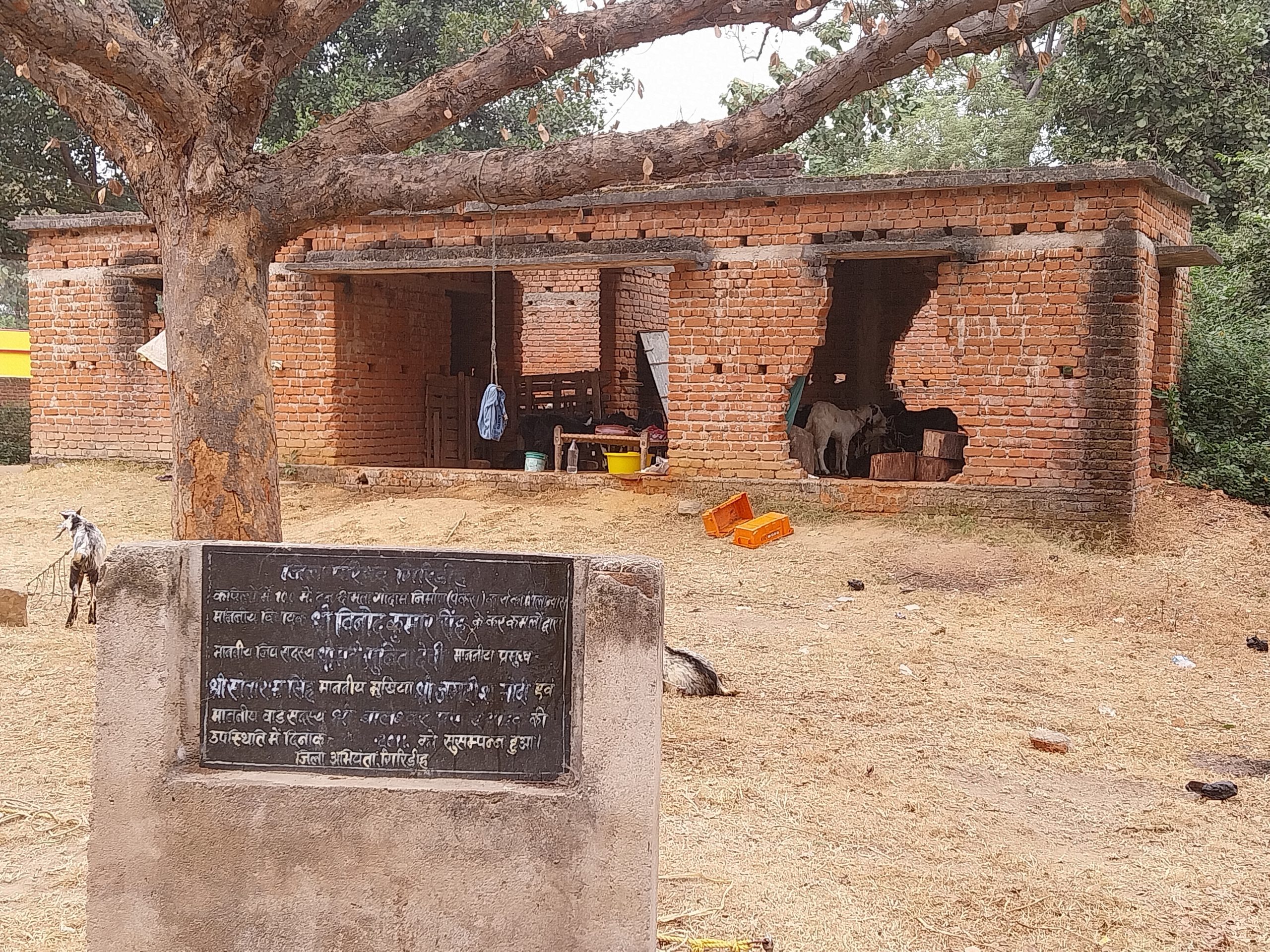 Giridih News: 14 वर्षों से अधूरा पड़ा है पैक्स भवन, खंडहर में तब्दील