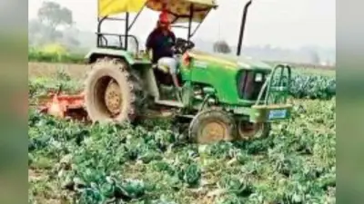 Jharkhand News: लातेहार के सड़क हादसे में युवक की मौत बाद परिजनों ने सड़क जाम किया, थाना प्रभारी पर लगे गंभीर आरोप