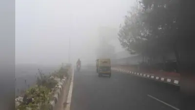 Muzaffarpur Weather: सर्द हवाओं ने बढ़ाई ठिठुरन, दिन में धूप से राहत, जानिए आज कैसा रहेगा मौसम का मिजाज?