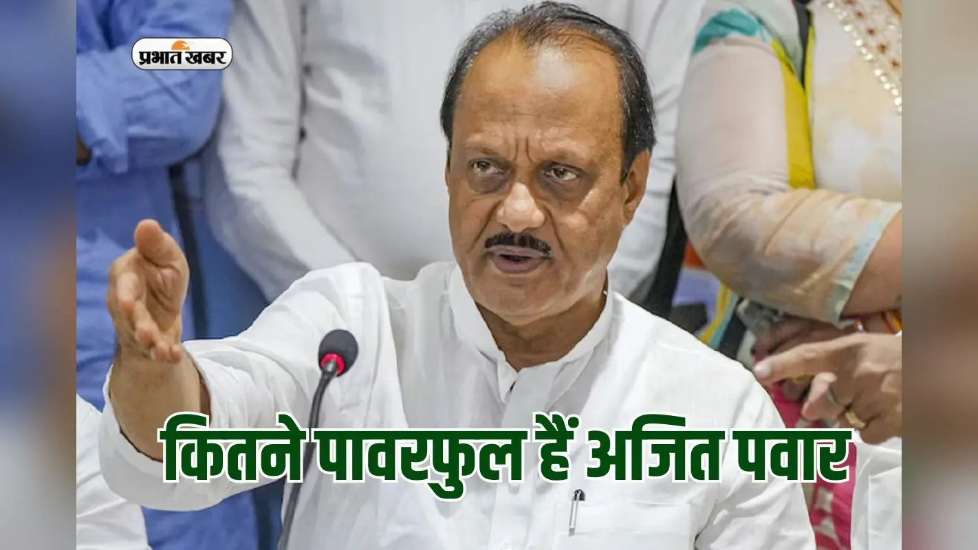 संपत्ति के मामले में कितने पावरफुल हैं अजित पवार? बचत योजनाओं में 10,79 करोड़ का निवेश